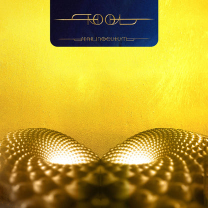 Fear Inoculum:   - Tool [VINYL]