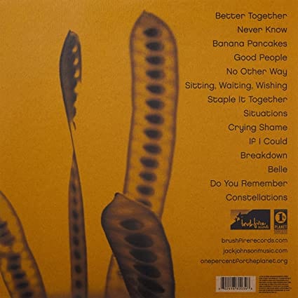 In Between Dreams - Jack Johnson [VINYL]