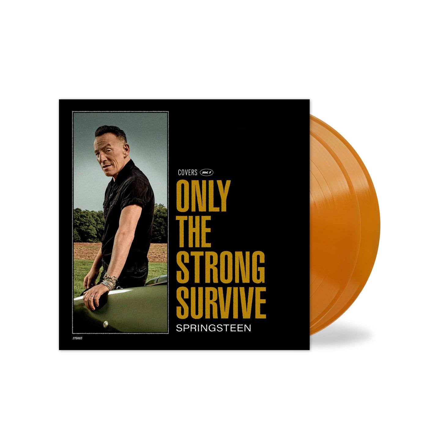 Only The Strong Survive - Bruce Springsteen [Colour Vinyl]