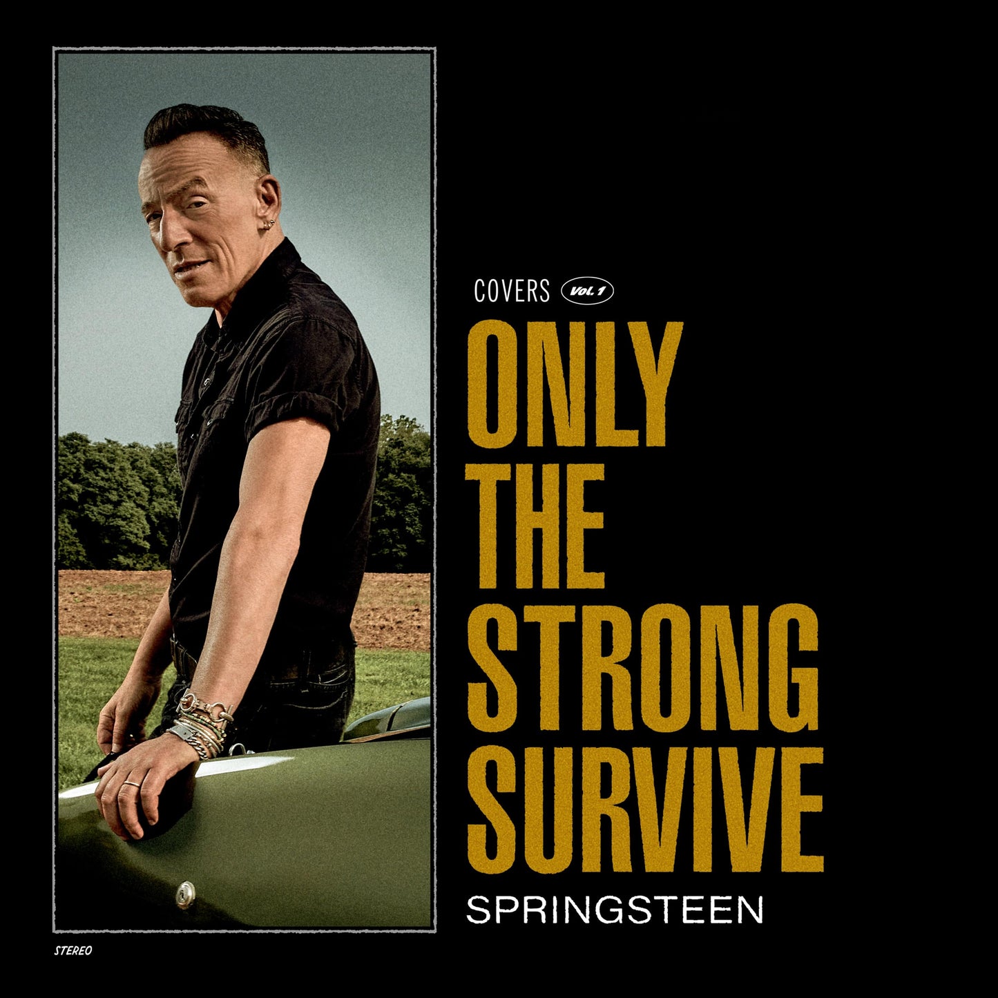 Only The Strong Survive - Bruce Springsteen [VINYL]
