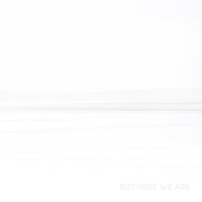 But Here We Are - Foo Fighters [VINYL]