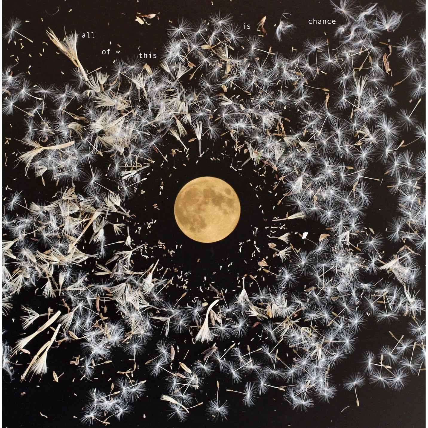 All of This Is Chance:   - Lisa O'Neill [Colour Vinyl]