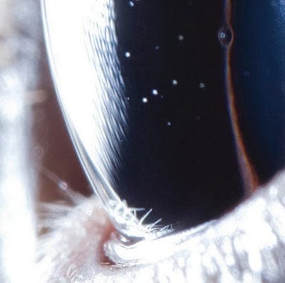 Third Law - Roly Porter [VINYL]