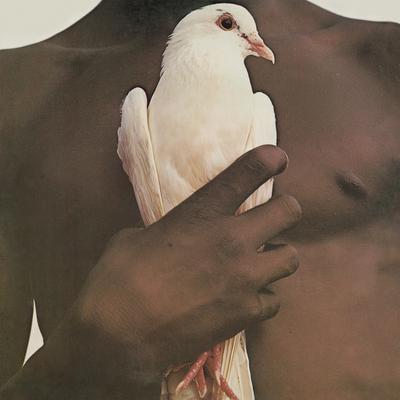 Greatest Hits - Santana [VINYL]