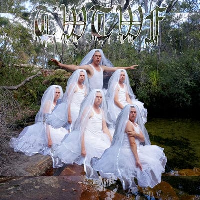 Titles With the Word Fountain:   - Liars [VINYL]