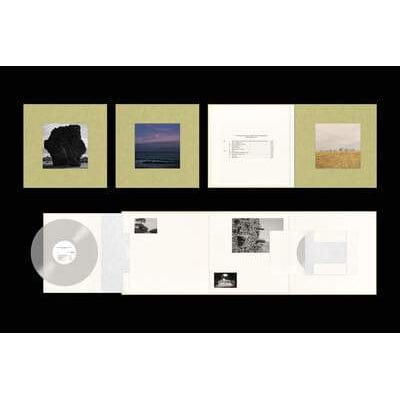 The Nearer the Fountain the More Pure the Stream Flows:   - Damon Albarn [VINYL Deluxe Edition]