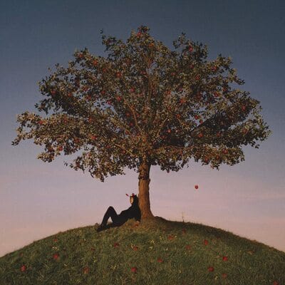 TYRON:   - slowthai [VINYL]