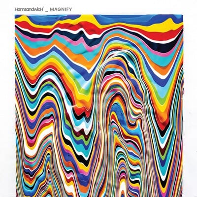 Magnify:   - HamsandwicH [VINYL]