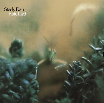 Katy Lied (2024 Re-issue) - Steely Dan [VINYL]