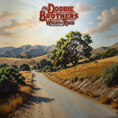 Walk This Road - The Doobie Brothers [VINYL]