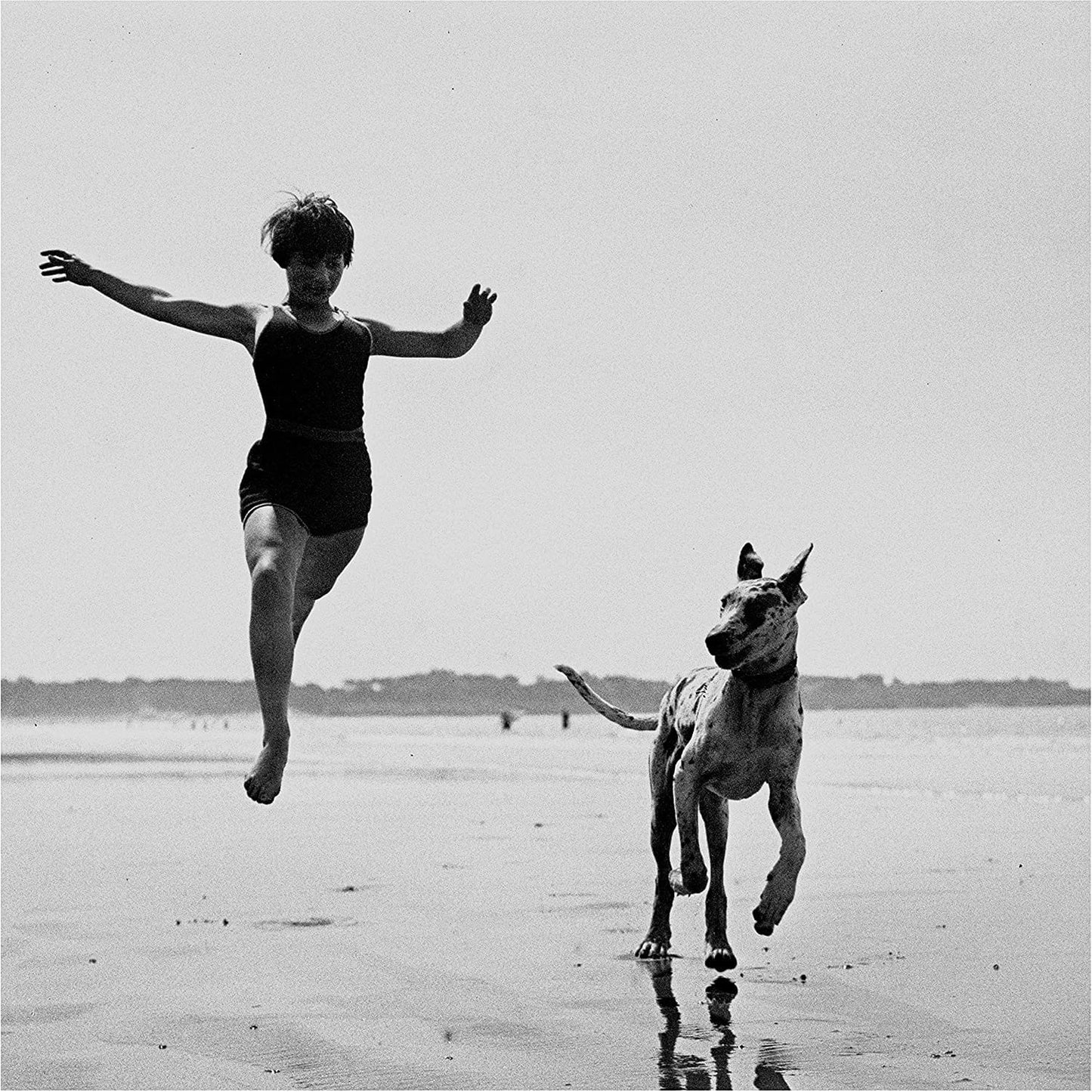 In Quiet Moments:   - Lost Horizons [Colour Vinyl]